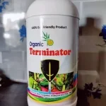 Terminator