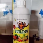 Build Up