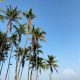 Jampore beach, daman Jampore beach, daman